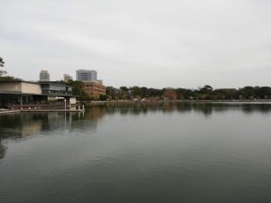 池の写真