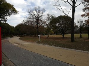 公園の写真